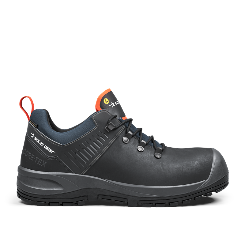 Ion GTX Low